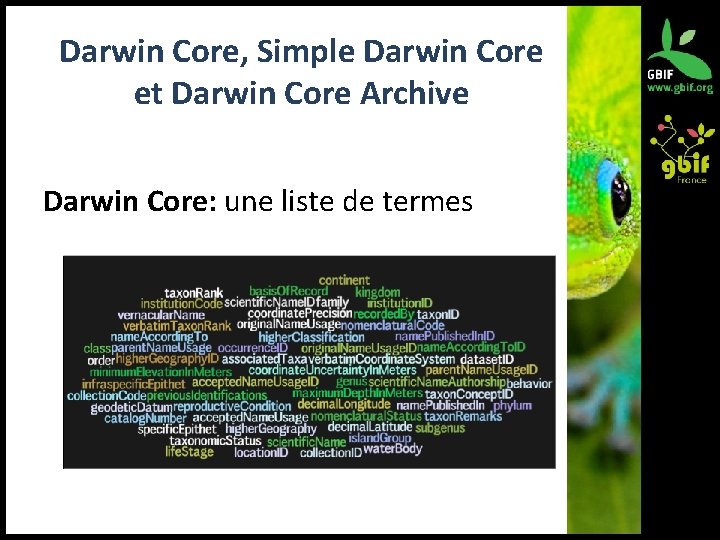 Darwin Core, Simple Darwin Core et Darwin Core Archive Darwin Core: une liste de