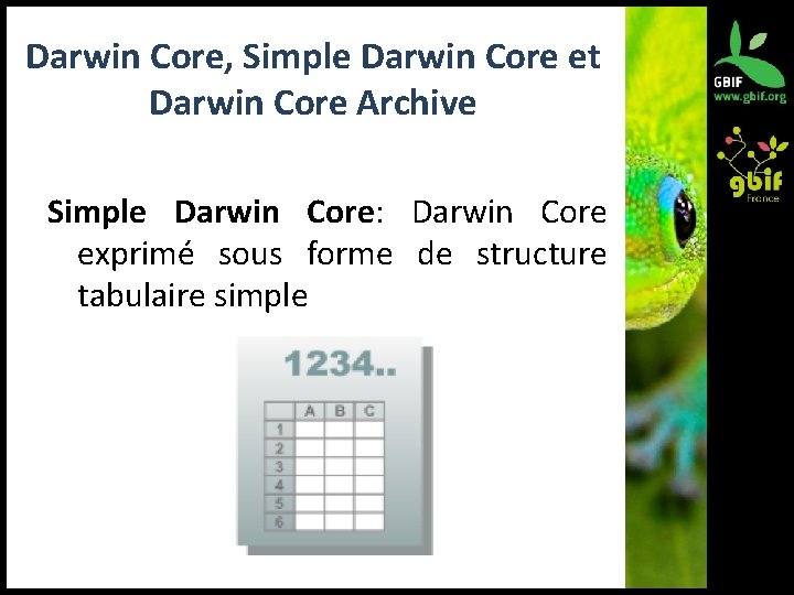 Darwin Core, Simple Darwin Core et Darwin Core Archive Simple Darwin Core: Darwin Core