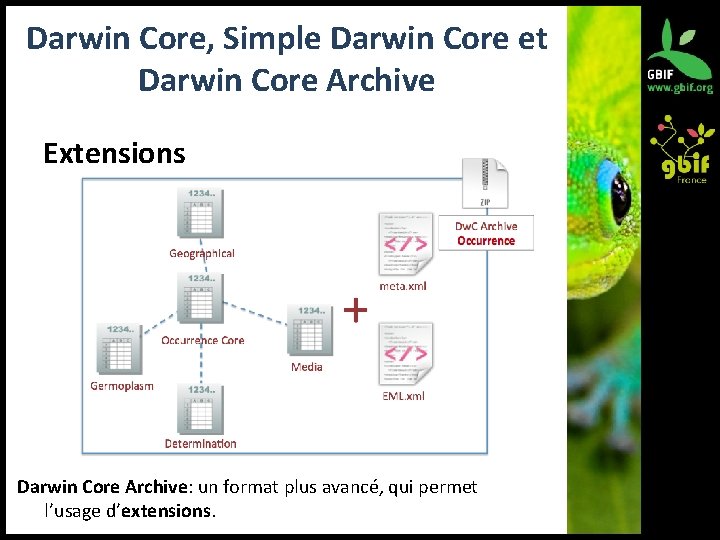 Darwin Core, Simple Darwin Core et Darwin Core Archive Extensions Darwin Core Archive: un