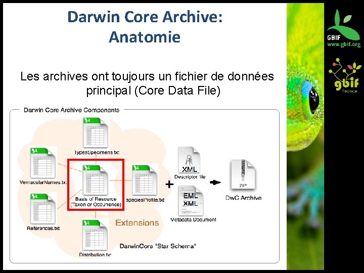 Darwin Core Archive: Anatomie Les archives ont toujours un fichier de données principal (Core