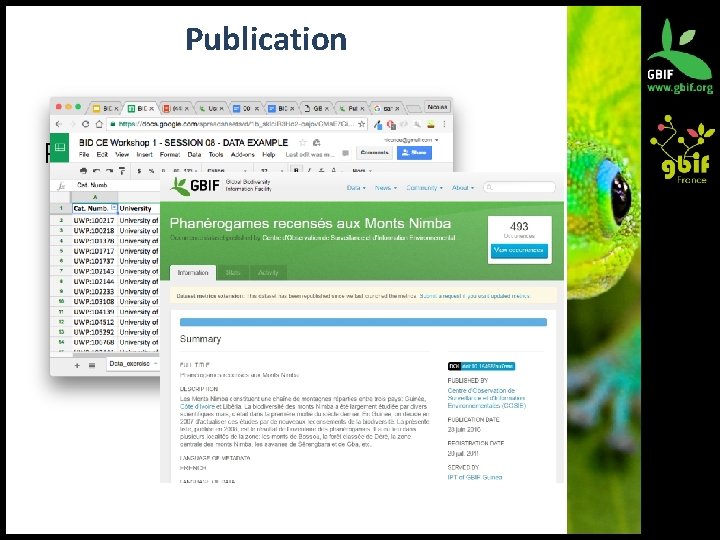 Publication 