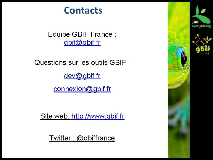 Contacts Equipe GBIF France : gbif@gbif. fr Questions sur les outils GBIF : dev@gbif.