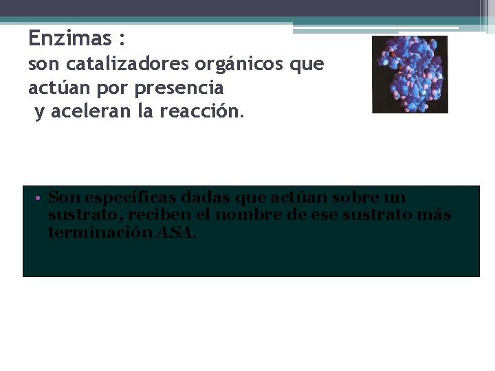 Enzimas : son catalizadores orgánicos que actúan por presencia y aceleran la reacción. •