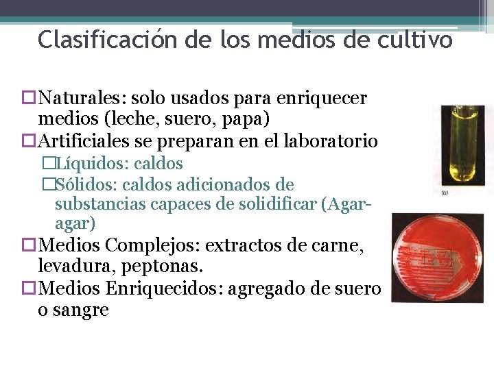 Clasificación de los medios de cultivo Naturales: solo usados para enriquecer medios (leche, suero,