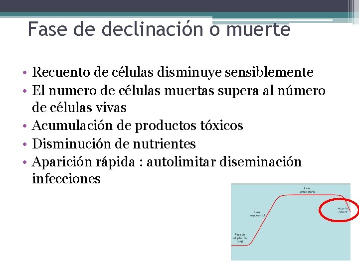 Fase de declinación o muerte • Recuento de células disminuye sensiblemente • El numero