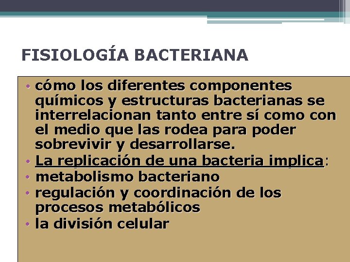FISIOLOGÍA BACTERIANA • cómo los diferentes componentes químicos y estructuras bacterianas se interrelacionan tanto