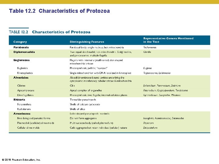 Table 12. 2 Characteristics of Protozoa © 2018 Pearson Education, Inc. 