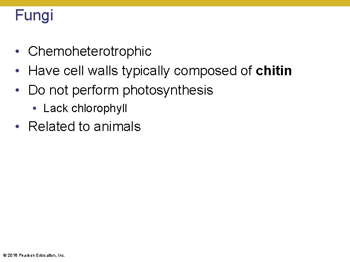 Fungi • Chemoheterotrophic • Have cell walls typically composed of chitin • Do not
