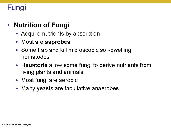 Fungi • Nutrition of Fungi • Acquire nutrients by absorption • Most are saprobes