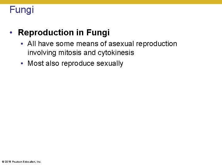Fungi • Reproduction in Fungi • All have some means of asexual reproduction involving