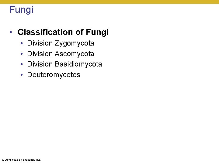 Fungi • Classification of Fungi • • Division Zygomycota Division Ascomycota Division Basidiomycota Deuteromycetes