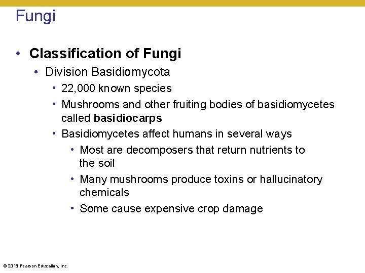 Fungi • Classification of Fungi • Division Basidiomycota • 22, 000 known species •