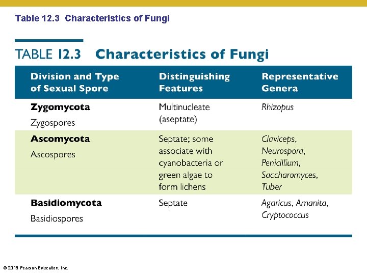 Table 12. 3 Characteristics of Fungi © 2018 Pearson Education, Inc. 