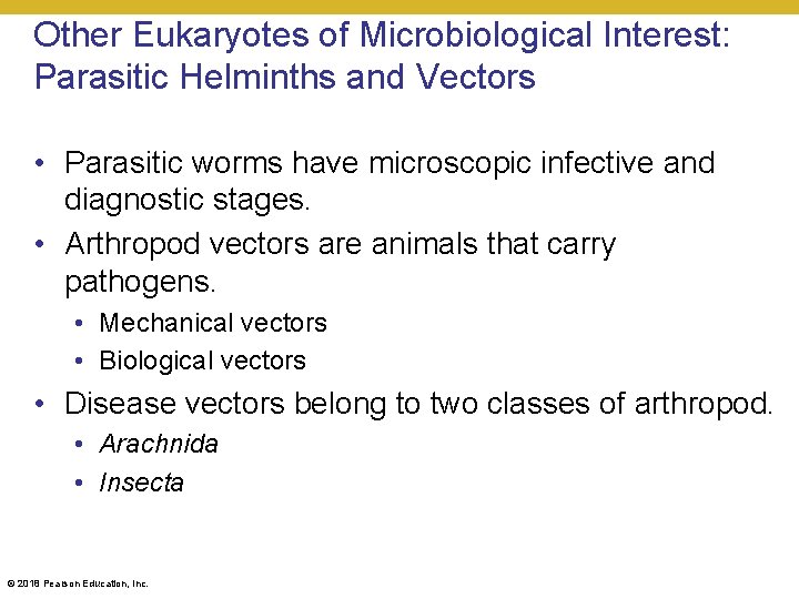 Other Eukaryotes of Microbiological Interest: Parasitic Helminths and Vectors • Parasitic worms have microscopic