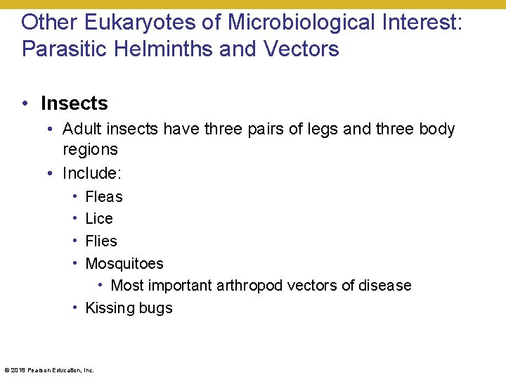 Other Eukaryotes of Microbiological Interest: Parasitic Helminths and Vectors • Insects • Adult insects