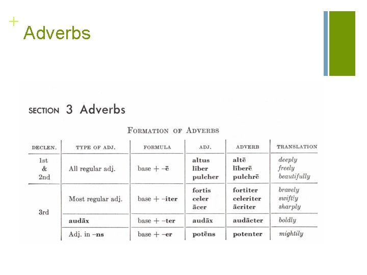 + Adverbs 