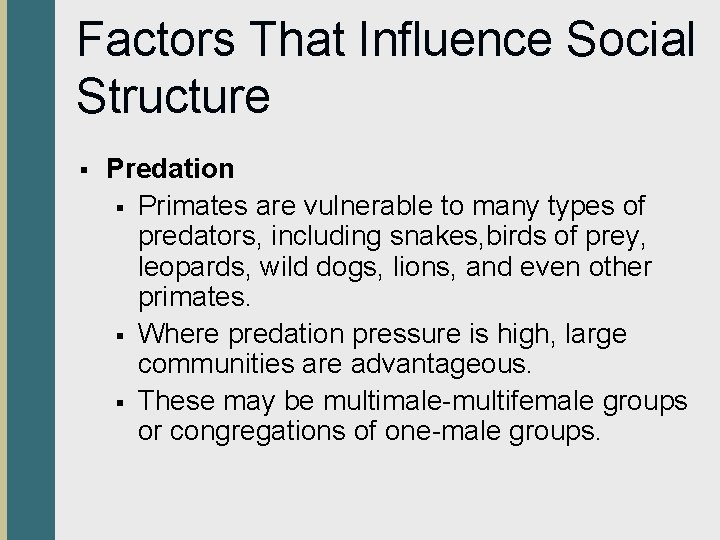 Factors That Influence Social Structure § Predation § Primates are vulnerable to many types