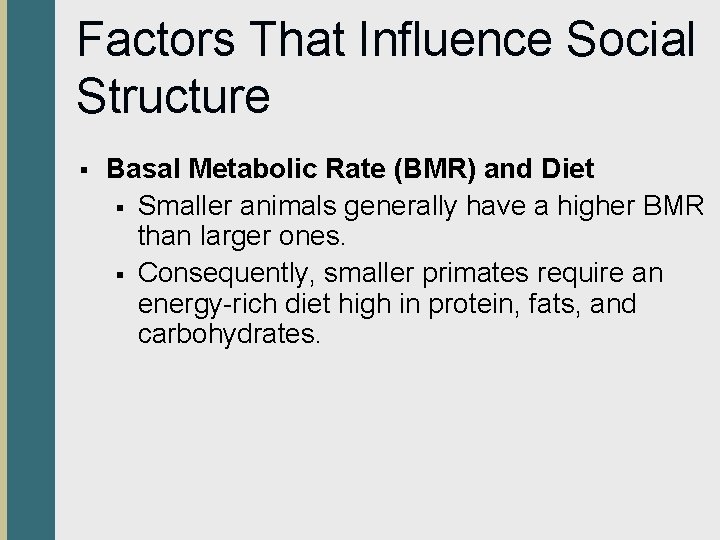 Factors That Influence Social Structure § Basal Metabolic Rate (BMR) and Diet § Smaller