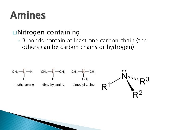 Amines � Nitrogen containing ◦ 3 bonds contain at least one carbon chain (the