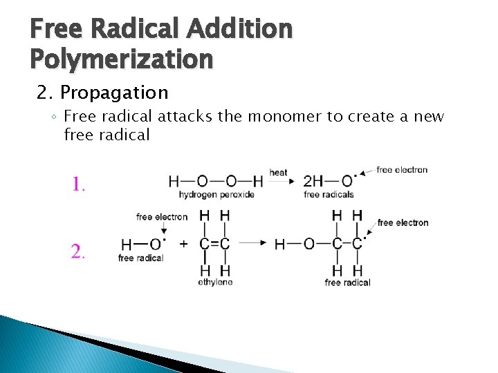 Free Radical Addition Polymerization 2. Propagation ◦ Free radical attacks the monomer to create