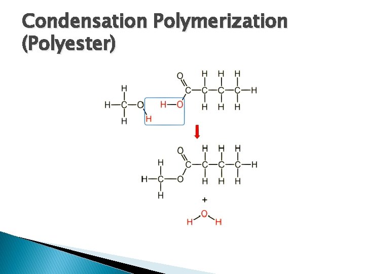 Condensation Polymerization (Polyester) 