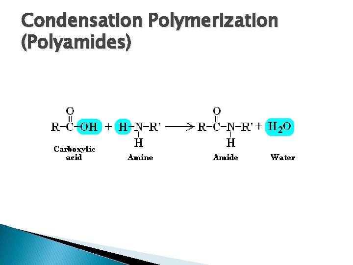 Condensation Polymerization (Polyamides) 
