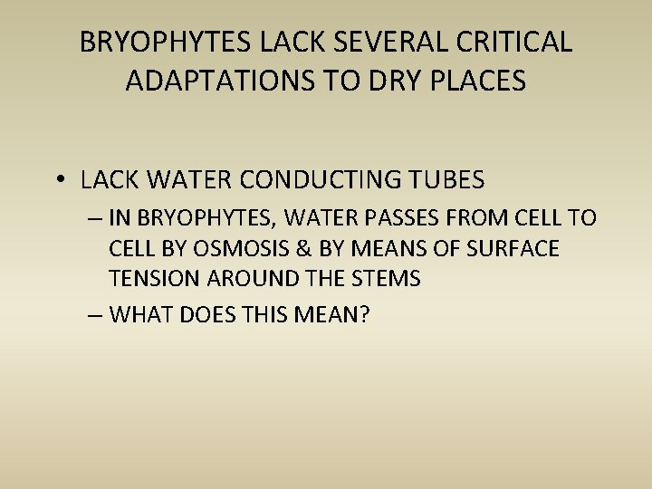 BRYOPHYTES LACK SEVERAL CRITICAL ADAPTATIONS TO DRY PLACES • LACK WATER CONDUCTING TUBES –
