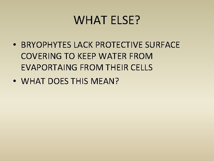 WHAT ELSE? • BRYOPHYTES LACK PROTECTIVE SURFACE COVERING TO KEEP WATER FROM EVAPORTAING FROM