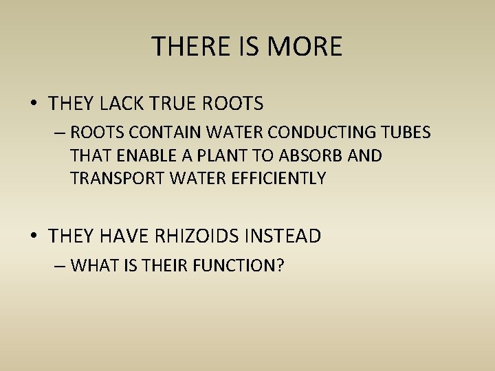 THERE IS MORE • THEY LACK TRUE ROOTS – ROOTS CONTAIN WATER CONDUCTING TUBES