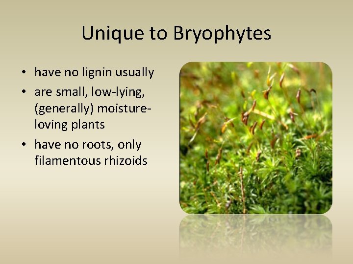 Unique to Bryophytes • have no lignin usually • are small, low-lying, (generally) moistureloving