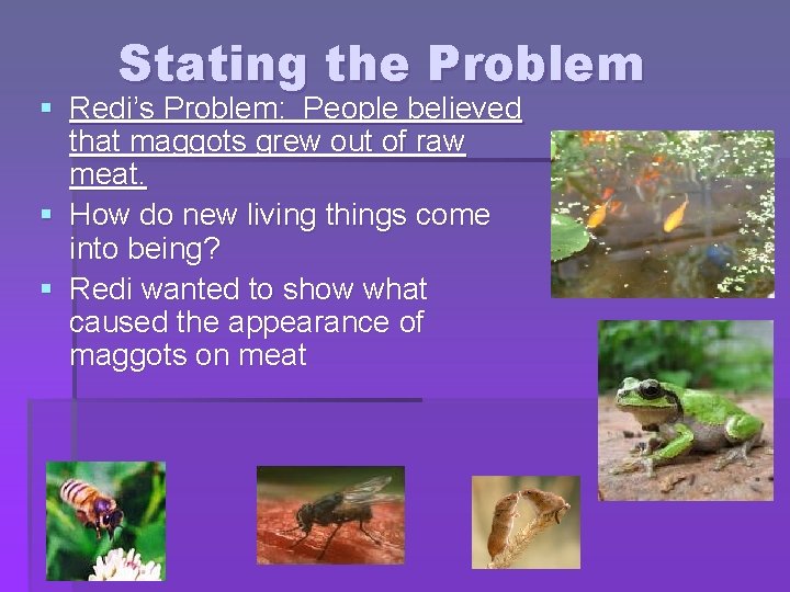 Stating the Problem § Redi’s Problem: People believed that maggots grew out of raw