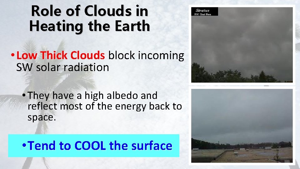 Role of Clouds in Heating the Earth • Low Thick Clouds block incoming SW