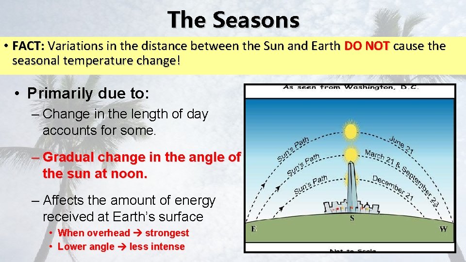 The Seasons • FACT: Variations in the distance between the Sun and Earth DO