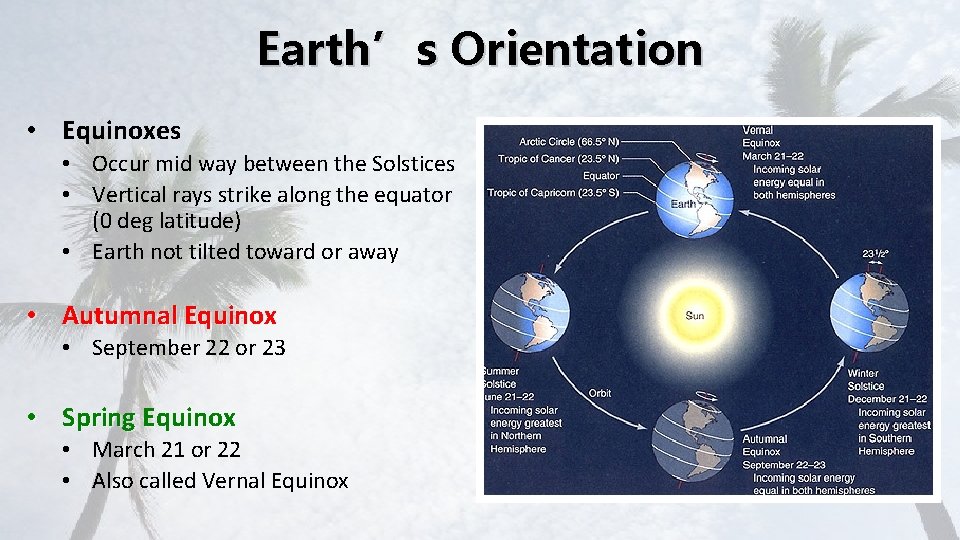 Earth’s Orientation • Equinoxes • Occur mid way between the Solstices • Vertical rays
