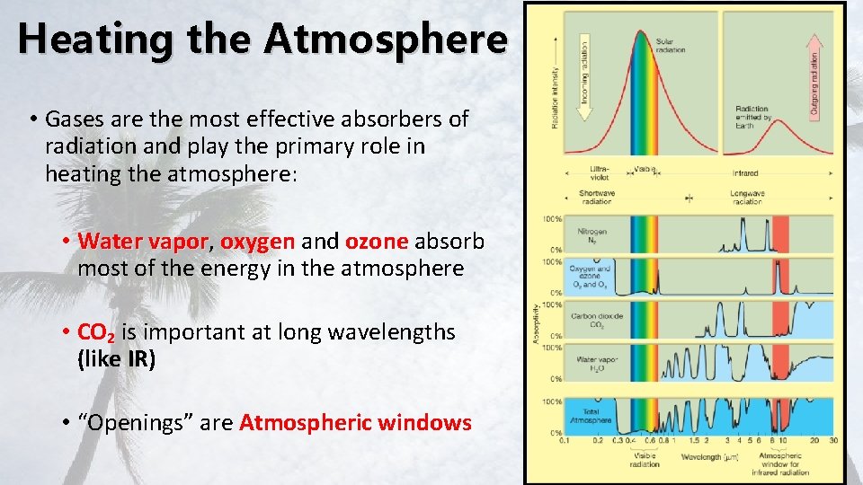 Heating the Atmosphere • Gases are the most effective absorbers of radiation and play