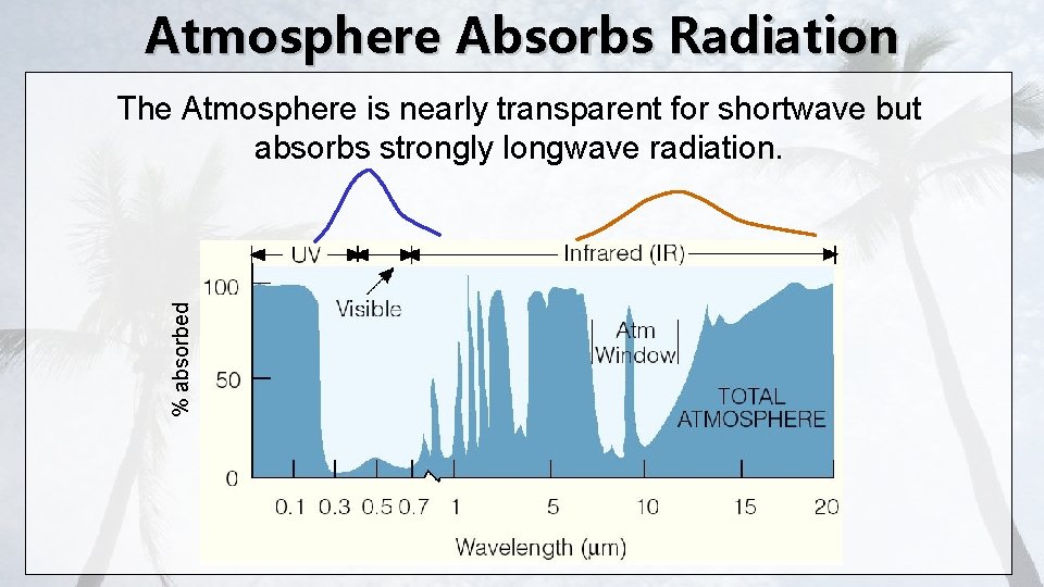 Atmosphere Absorbs Radiation % absorbed The Atmosphere is nearly transparent for shortwave but absorbs