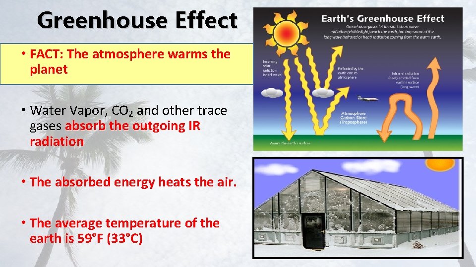 Greenhouse Effect • FACT: The atmosphere warms the planet • Water Vapor, CO 2