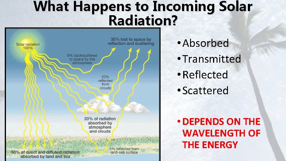 What Happens to Incoming Solar Radiation? • Absorbed • Transmitted • Reflected • Scattered