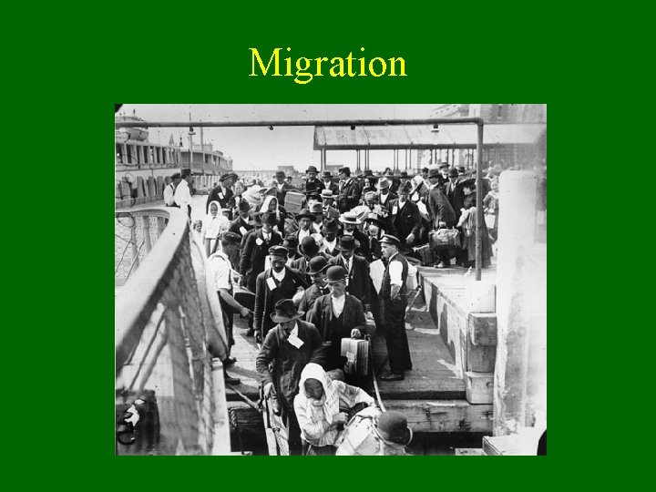 Migration 