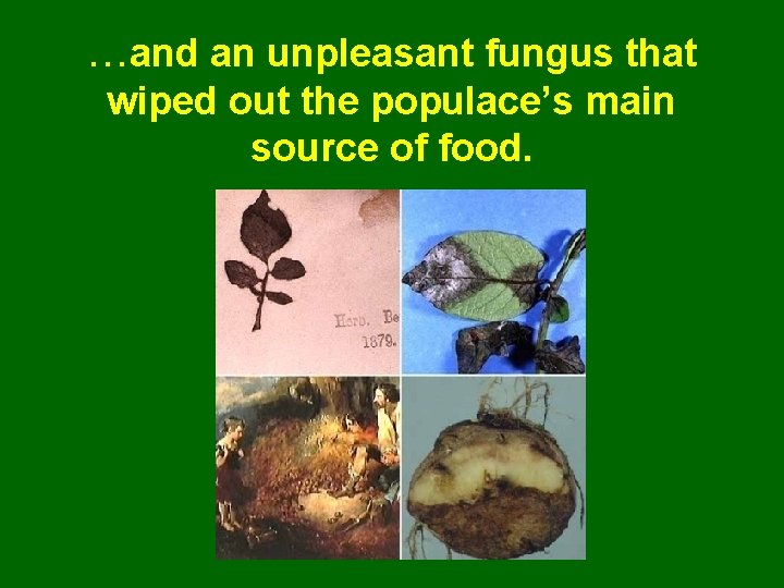 …and an unpleasant fungus that wiped out the populace’s main source of food. 