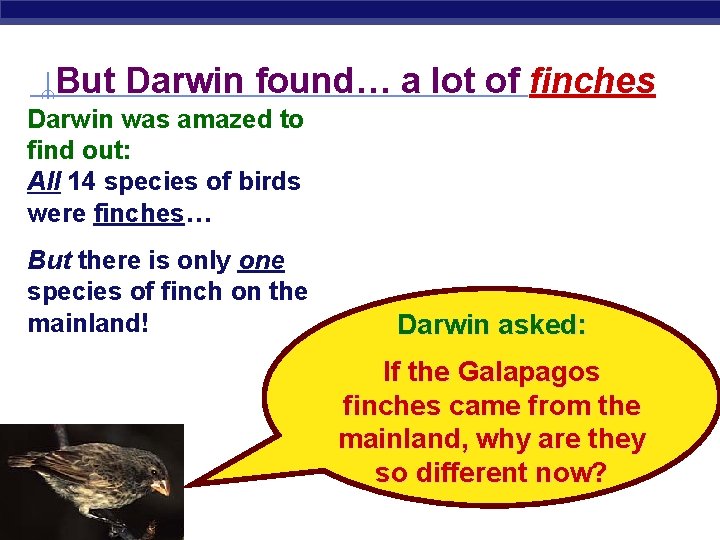 But Darwin found… a lot of finches Darwin was amazed to find out: All