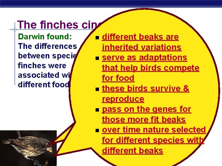 The finches cinched it! Darwin found: n different beaks are The differences inherited variations