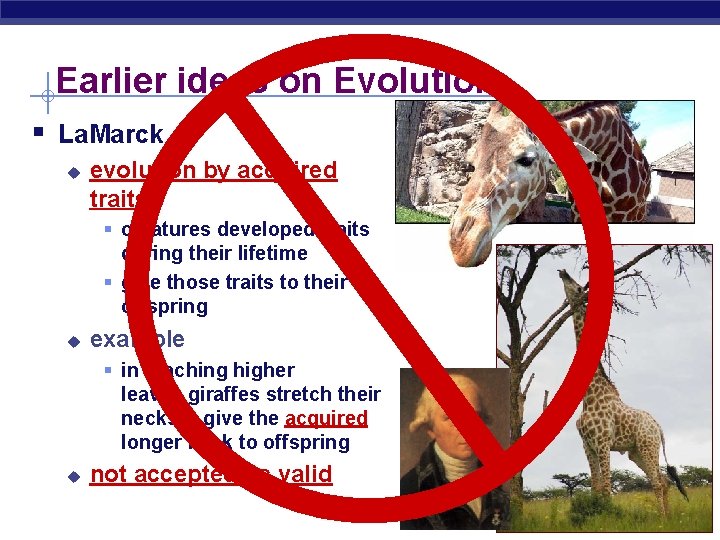 Earlier ideas on Evolution § La. Marck u evolution by acquired traits § creatures