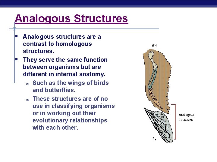 Analogous Structures § Analogous structures are a § contrast to homologous structures. They serve