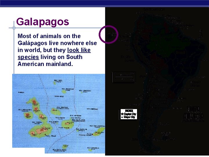 Galapagos Most of animals on the Galápagos live nowhere else in world, but they