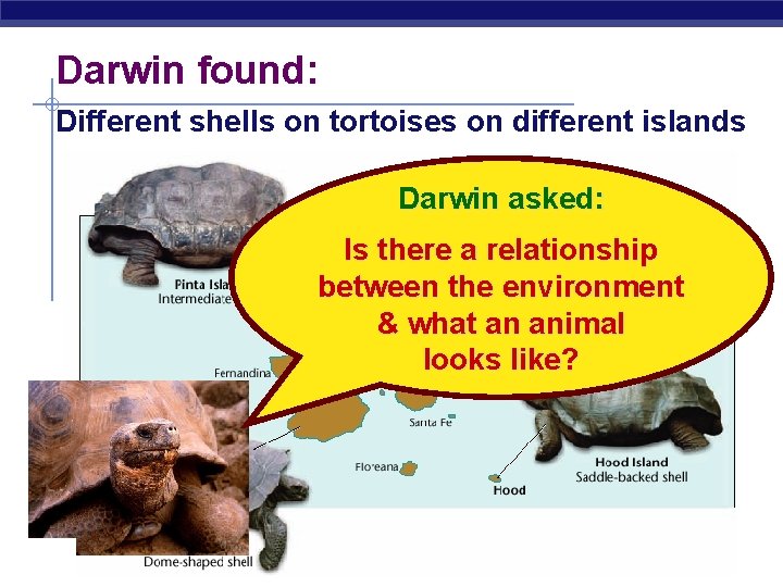 Darwin found: Different shells on tortoises on different islands Darwin asked: Is there a