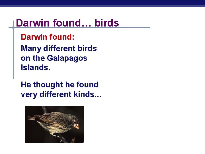 Darwin found… birds Darwin found: Many different birds on the Galapagos Islands. He thought