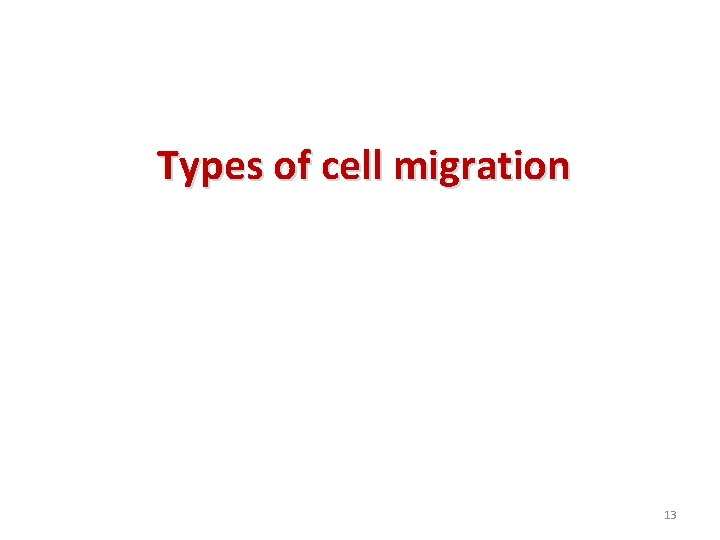 Types of cell migration 13 