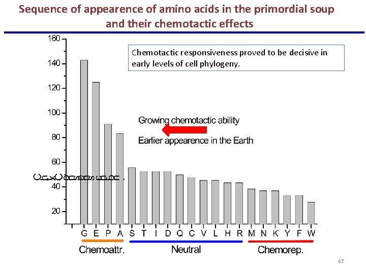 Sequence of appearence of amino acids in the primordial soup and their chemotactic effects