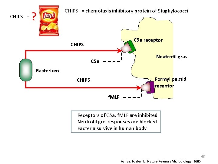 CHIPS = ? CHIPS = chemotaxis inhibitory protein of Staphylococci C 5 a receptor